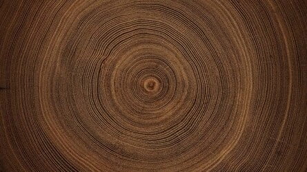 The Generation Myth – Why When You’re Born Matters Less Than You Think