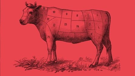 The Meat Paradox