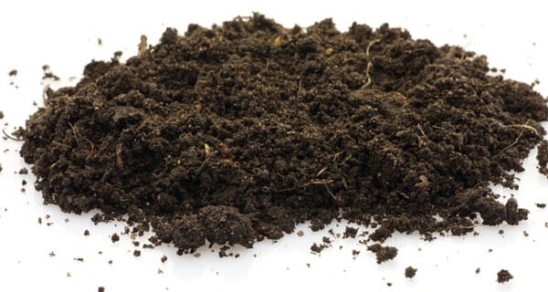 soil