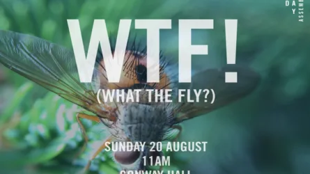 WTF! (What The Fly?)