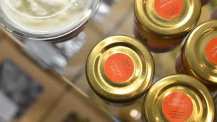 From Hive to Jar: BEE Breakfast