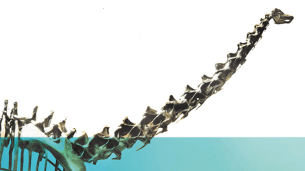 Were Dinosaurs too big? Discussing Dinosaur Evolution