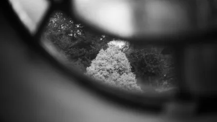 Conway Photography Group