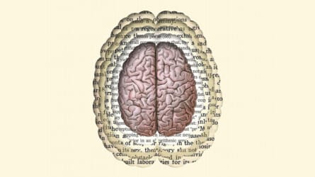 *ONLINE* Thinking on Sunday: The Idea of the Brain – A History