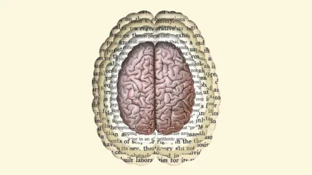 *ONLINE* Thinking on Sunday: The Idea of the Brain – A History