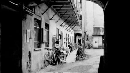 Slovenia: Image Music Text