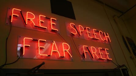 The End of the Wild World Web? Internet Freedom in the 21st Century