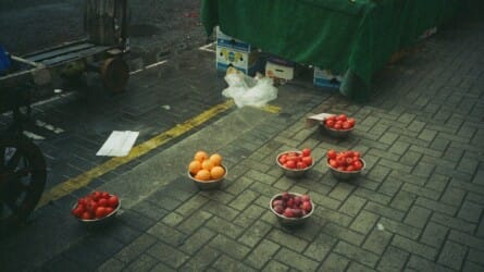 Women and Humanist Photography