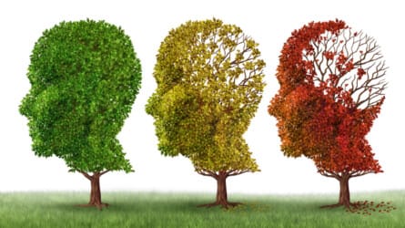Alzheimer’s Research – the Latest
