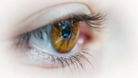 Care for Your Eyesight Naturally