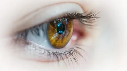 Care for Your Eyesight Naturally