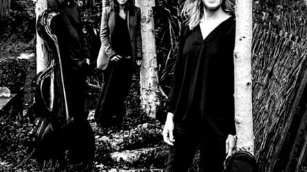 Coriolan String Trio