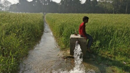 Climate Change and the Water-Energy-Food Nexus