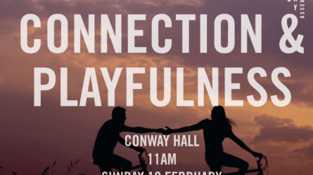 Connection & Playfulness
