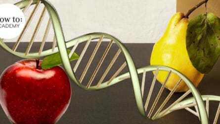 The Scientific Truth About Diets