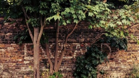 Landscape Citizenships Symposium