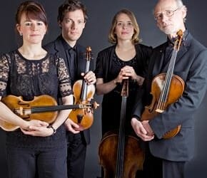 Sunday Concerts – Fitzwilliam Quartet