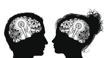 The Gendered Brain