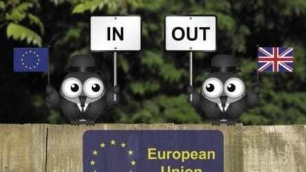 The European Union: In or Out?