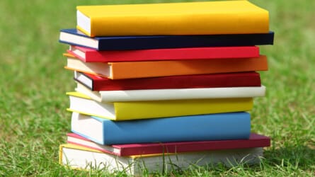 Summer School 2019: What? How? Why?