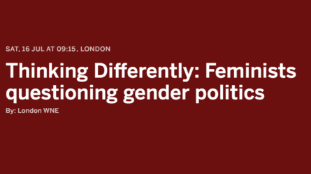 Thinking Differently: Feminists questioning gender politics