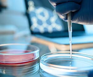 How Medical Research Died