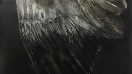 Amorphous by Melissa Budasz