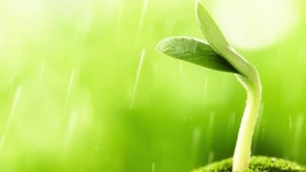 Mindfulness in Eight Weeks