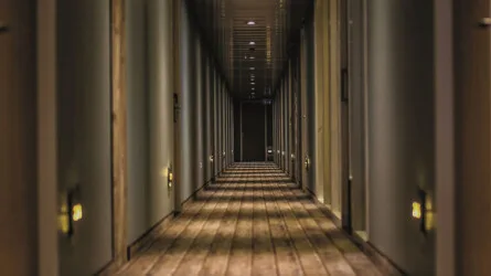 Corridors: Passages of Modernity