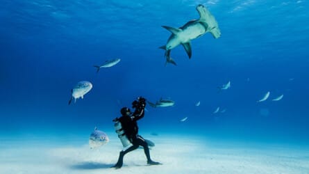 Ocean Film Festival World Tour