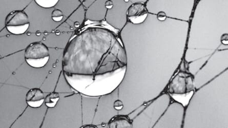 The Perils of Partnership in Public Health