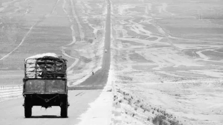 Photography: Process, Theory & Practice #7 Humanism & Street Photography