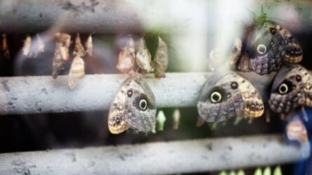 Photography: Process, Theory & Practice Group – #3 Transform