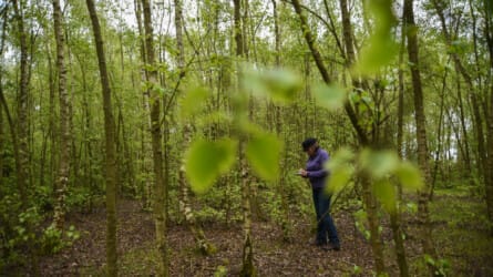 Reweirding: A Psychogeographical Pilgrimage – Seeking Thin Places