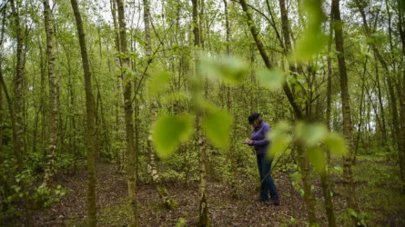 Reweirding: A Psychogeographical Pilgrimage – Seeking Thin Places