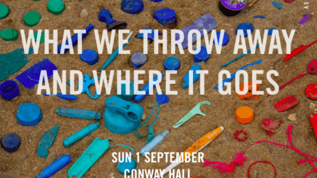 What We Throw Away And Where It Goes