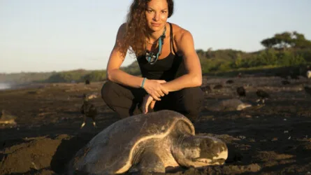 Thinking on Monday: Adventures in the Anthropocene – A Journey to the Heart of the Planet We Made