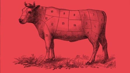 Ethical Matters: The Meat Paradox