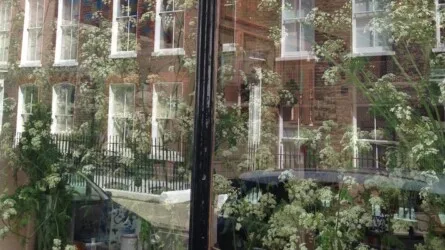 Urban Curiosity Walkshop: Bloomsbury