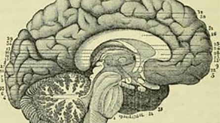 Talking to your GP about Mental Health