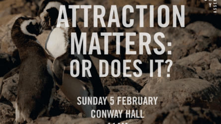 Attraction Matters: Or Does It?