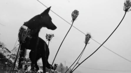 The Haunted Landscape 2017: Folklore, Ghosts and Witchcraft