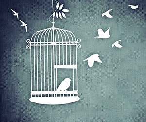 The Freedom Bird – A Family Storytelling Event