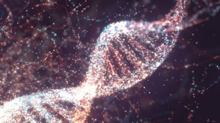 Gene Editing: Future People and Future Worlds