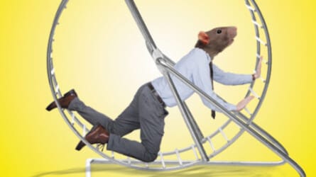 Lab Rats: Why Modern Work Makes People Miserable