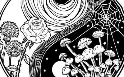 Psychedelics and Nonduality