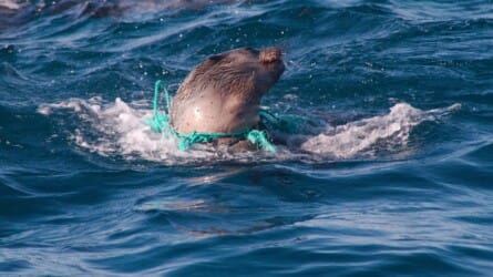 Ethical Matters: Solving The Plastic Problem