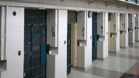 Trans and Queer Approaches to Prison Abolition