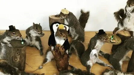 Guinea Pig Taxidermy workshop