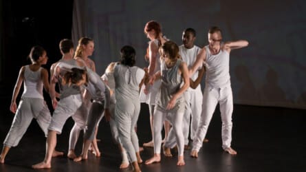 Waggle and other Dances